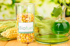 Ruthin biofuel availability